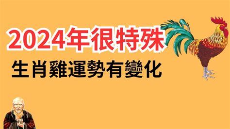 1981屬雞2024運勢|不同年份生肖雞運勢及運程2024